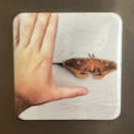 Add your photos ~ Rectangle 2"x3" ~10 Custon Photo Magnets