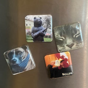 Add your photos ~ Rectangle 2"x3" ~10 Custon Photo Magnets