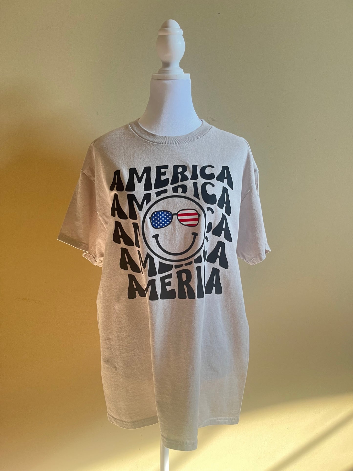 America! Celebrate Independence Day T-Shirt