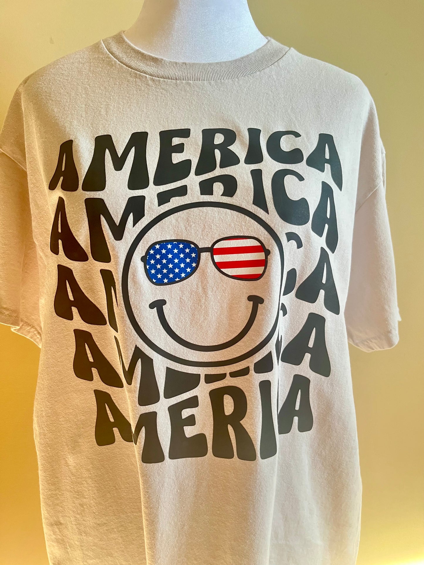 America! Celebrate Independence Day T-Shirt