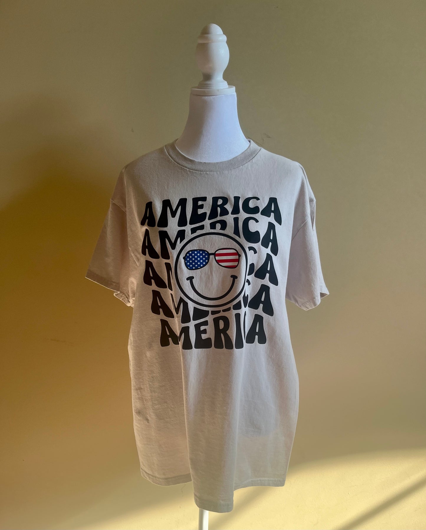 America! Celebrate Independence Day T-Shirt