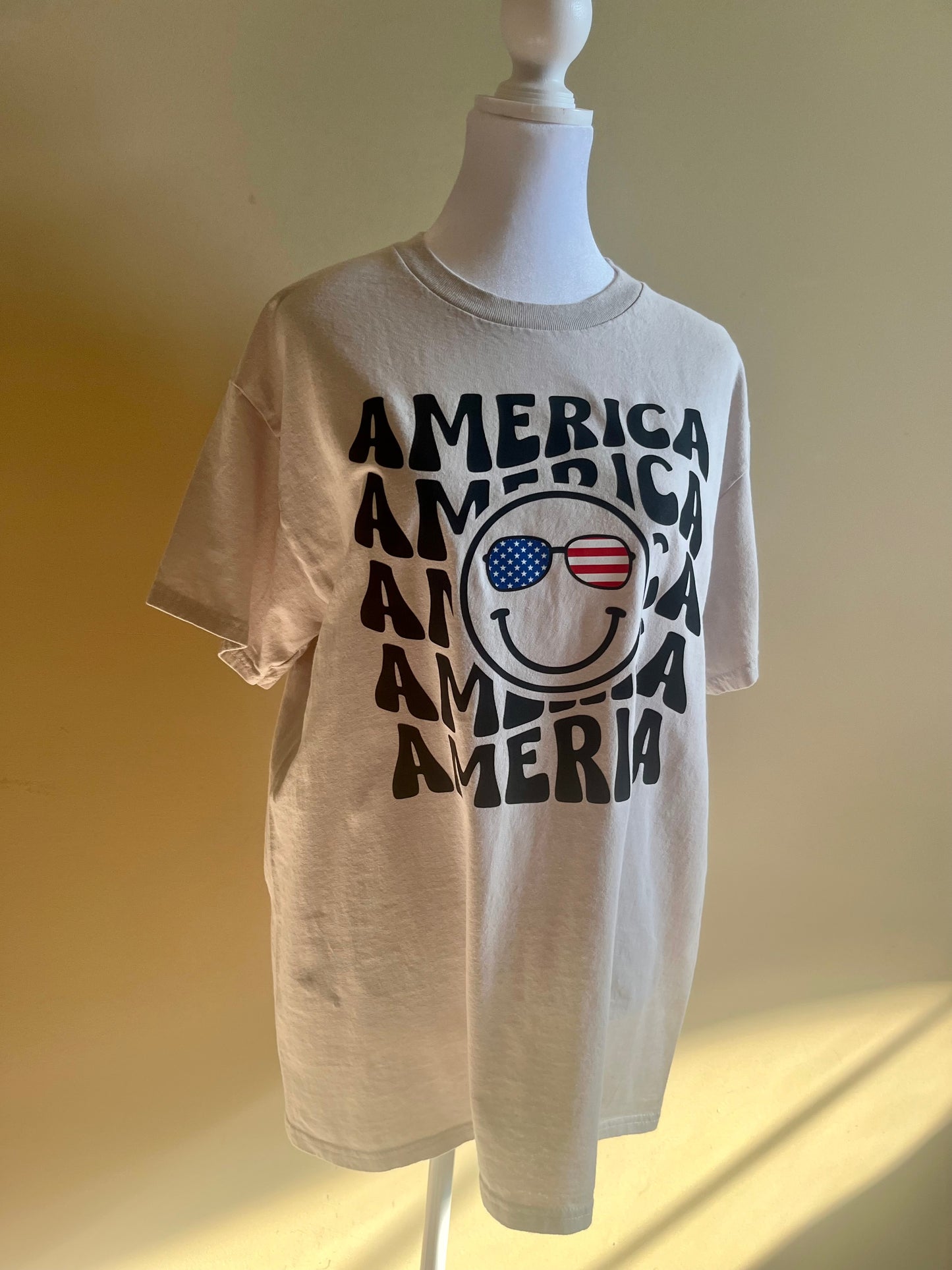America! Celebrate Independence Day T-Shirt
