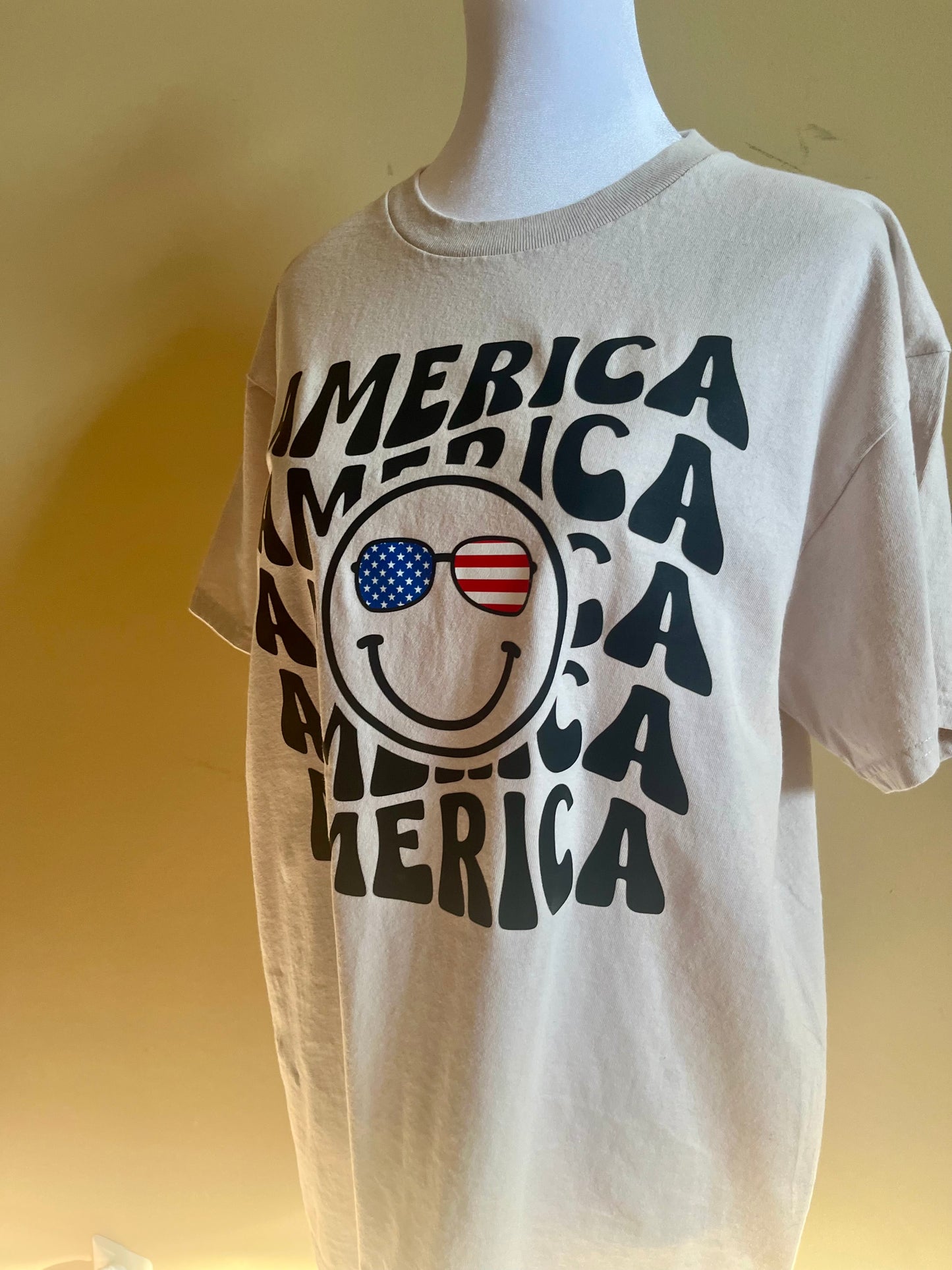 America! Celebrate Independence Day T-Shirt